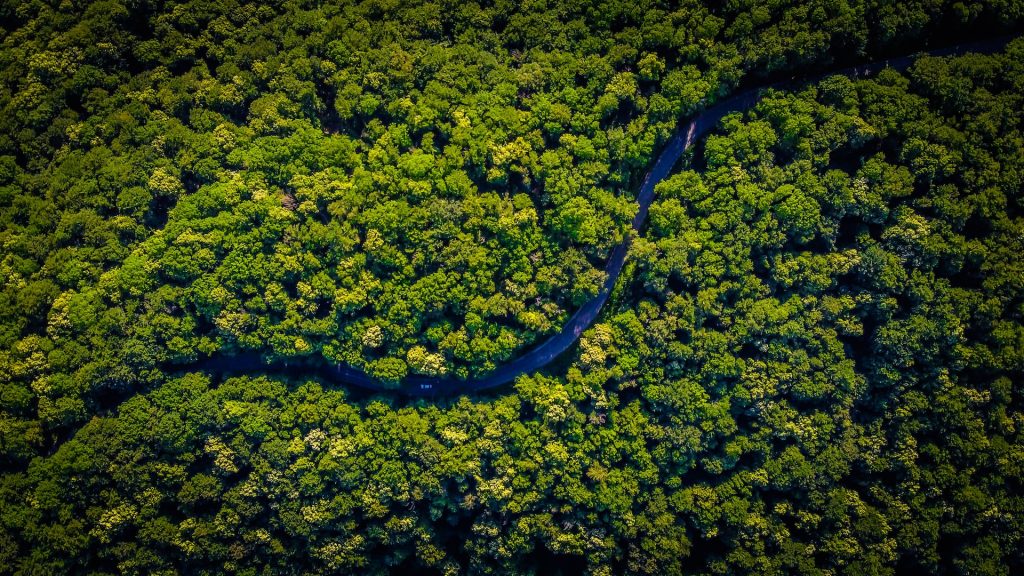 Google Schweiz ist neuer Main Partner von Sustainable Switzerland